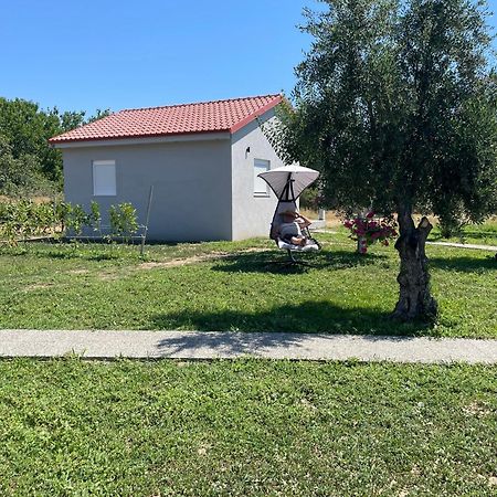 Apartament Ktima Mimoza Sykia Zewnętrze zdjęcie