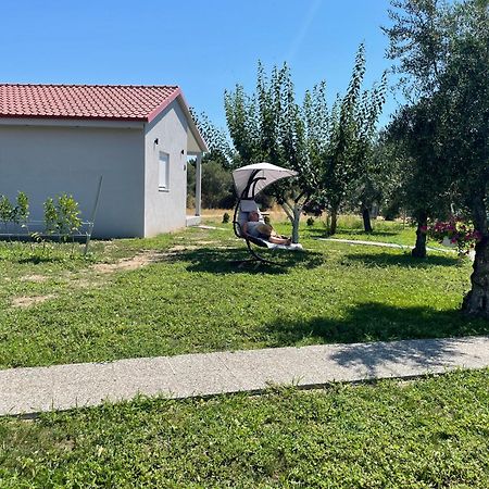 Apartament Ktima Mimoza Sykia Zewnętrze zdjęcie