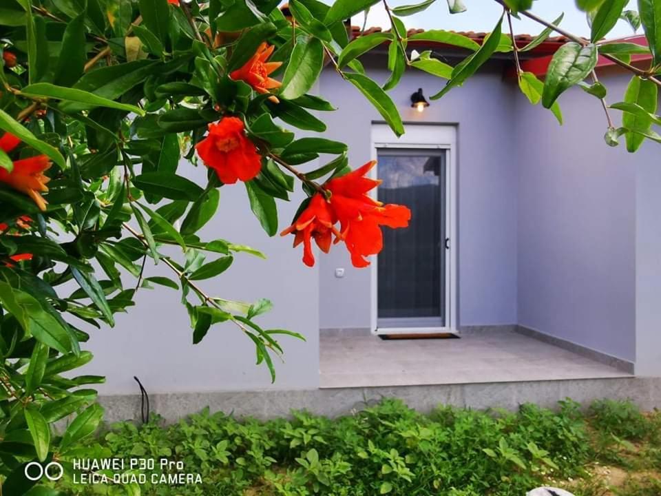 Apartament Ktima Mimoza Sykia Zewnętrze zdjęcie