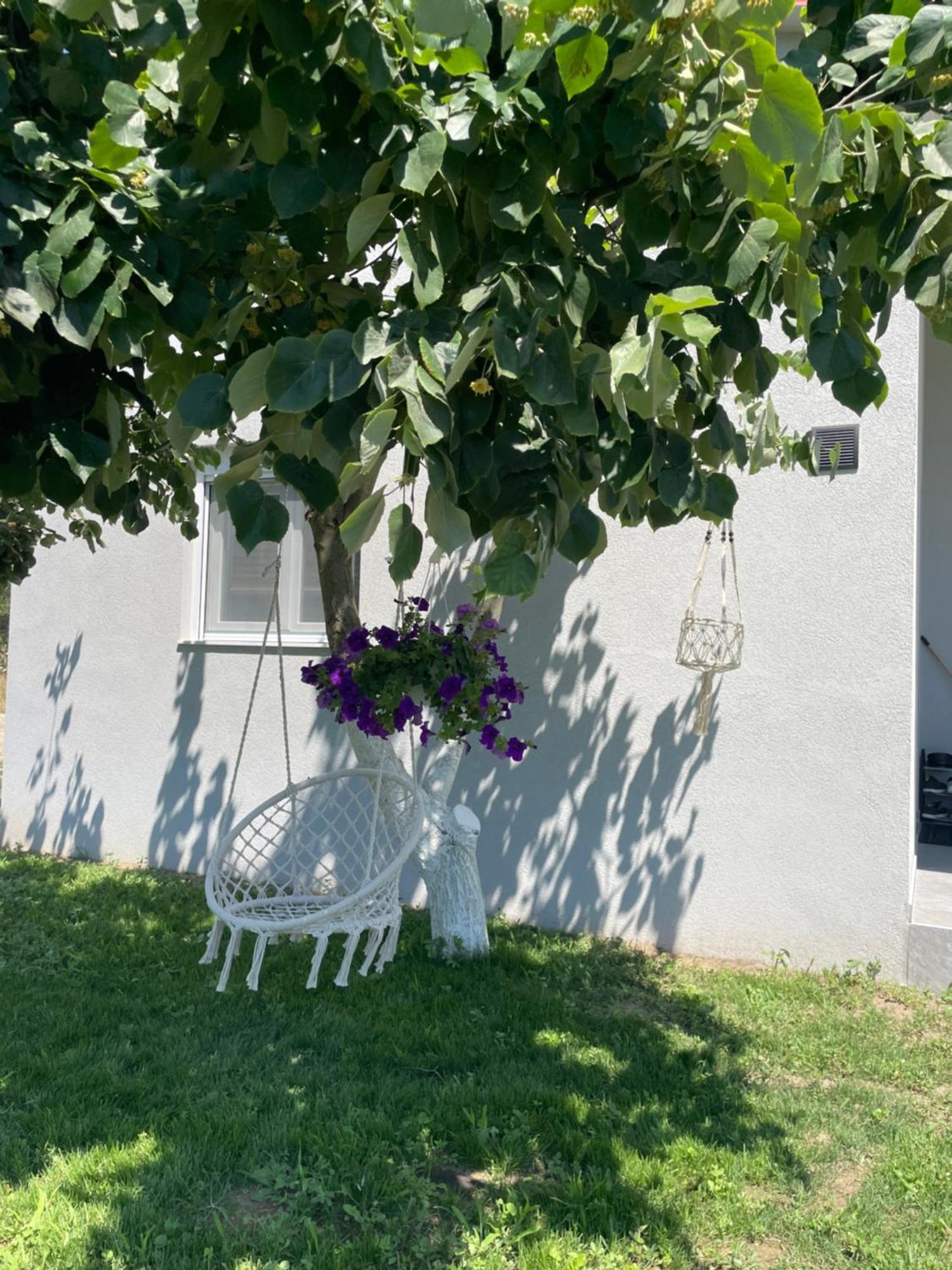 Apartament Ktima Mimoza Sykia Zewnętrze zdjęcie